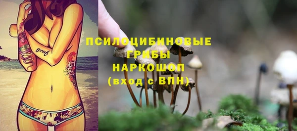 молекула духа Нягань