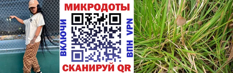 Галлюциногенные грибы Psilocybe  где купить   Порхов 